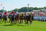 230526-Race 5-Reliable Ricki-7374
