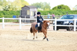 SBM_007741