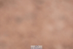 240505A-111808-05235