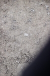 SBM_000329