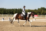 SBM_006983