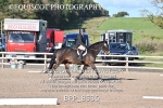 BPP_8536