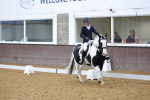 SBM_002619