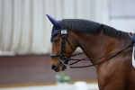SBM_002136