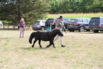 WJ6_7035