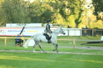 SBM_56469