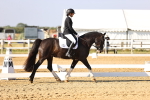 SBM_002608