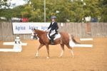 SBM_03649