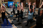 GSFSS-007: Science yoga