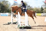 Cls 22 85cm Amateur Quali portfolio