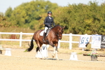 SBM_017891