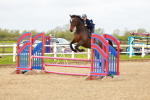 class 8 - Senior British Novice - 90cm portfolio
