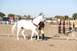 SBM_00180