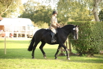 SBM_54386