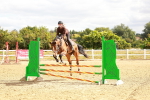 SBM_004846