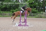 BPP_8051