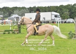 JAC_9084