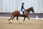SBM_001453