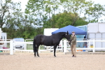 SBM_15351