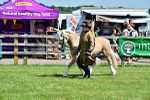 SBM_05930