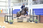 Class 20 - Senior British Novice/ 90cm Open - First Round (0.90m) portfolio
