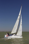 160823 JUNGLE GBR1338T Y92A4673