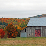 Autumn Barn in Rural New Brunswick Canada Fall Foliage