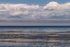 Salish Sea