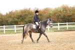 SBM_001973