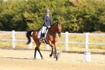 SBM_016490