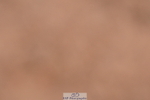 240505A-130210-05932