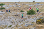 Hutton Roof-296