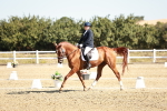 SBM_017019
