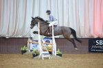 SBM_007313