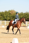 SBM_016687