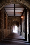 Wapping Pillas