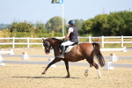 SBM_008380