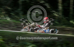 GKMC Hillclimb_13-08-2016_KART-17