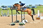 Cls 3 Foxhunter portfolio