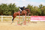SBM_005646