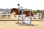 SBM_000954