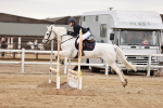 SBM_008809