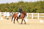 SBM_018499