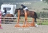 BPP_8989