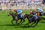 Race 2 14.45pm William Hill Summer Stakes portfolio