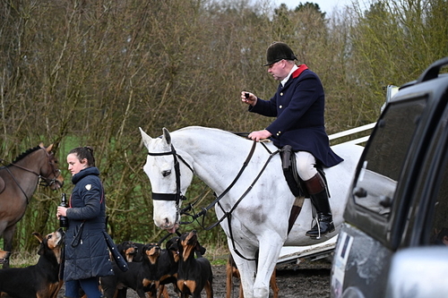 WJ6_8533