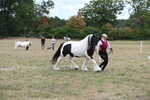 WJ6_5493