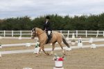 SBM_002891