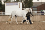 SBM_07731
