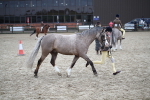 SBM_005960